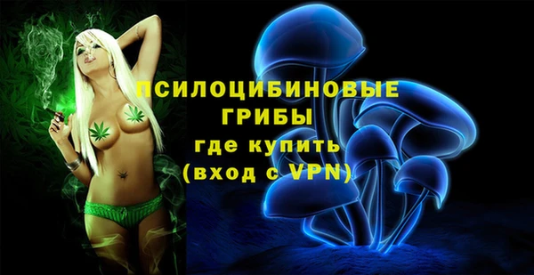 spice Белокуриха